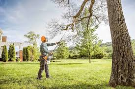 Best Seasonal Cleanup (Spring/Fall)  in Alta Sierra, CA