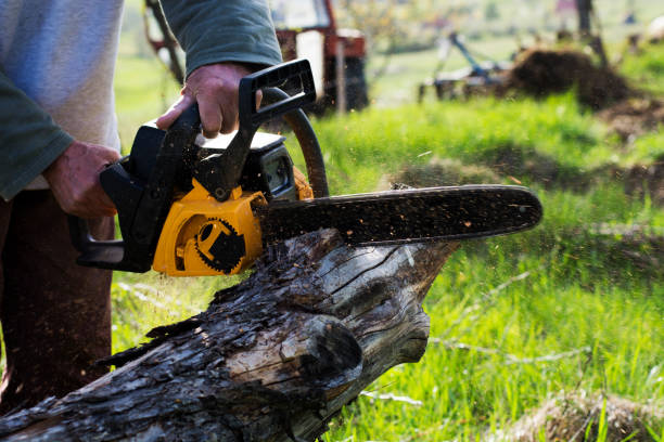 Best Lawn Watering Services  in Alta Sierra, CA